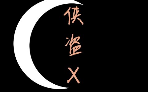 侠盗X（唐云林月瑶）完整版小说阅读_侠盗X全文免费阅读（唐云林月瑶）